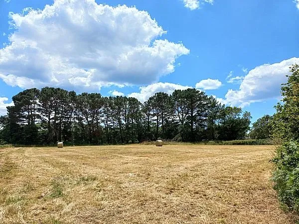 Terrain en individuel 492 m²