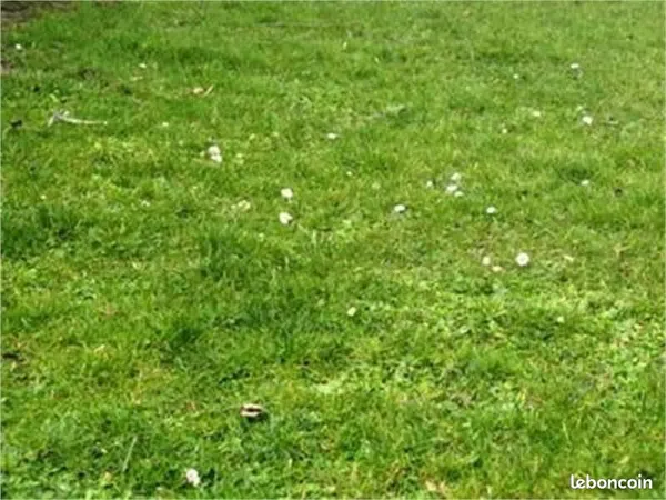 Terrain à bâtir de 652 m2 au prix de 16952 à PETOSSE (85)