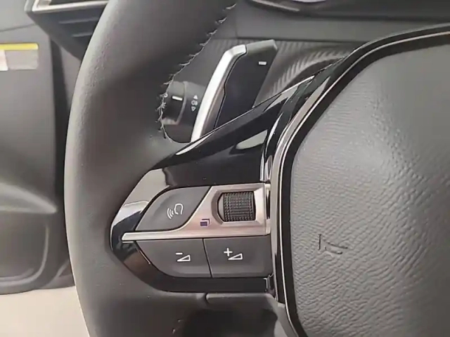 Peugeot 208 puretech 100 s&amp;s eat8 — photo 18