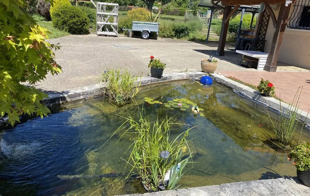 Photo 14