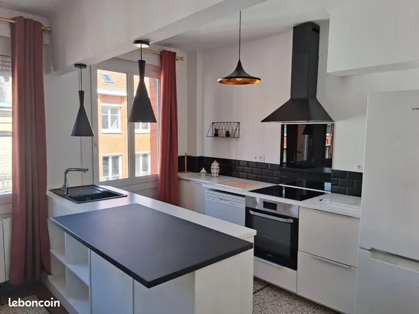 Appartement lumineux, meublé 50m2 centre ville