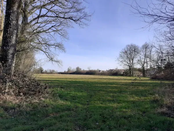 Terrain 20000 m²