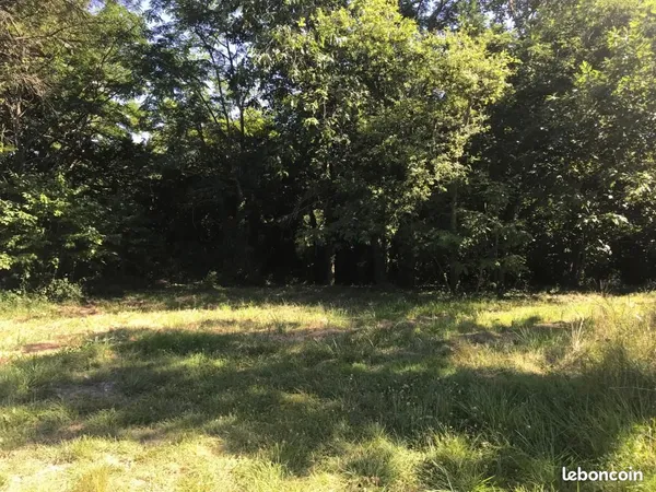 Terrain 2 500 m² Saint Germain Et Mons