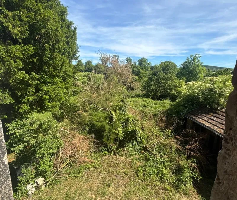 Photo 16