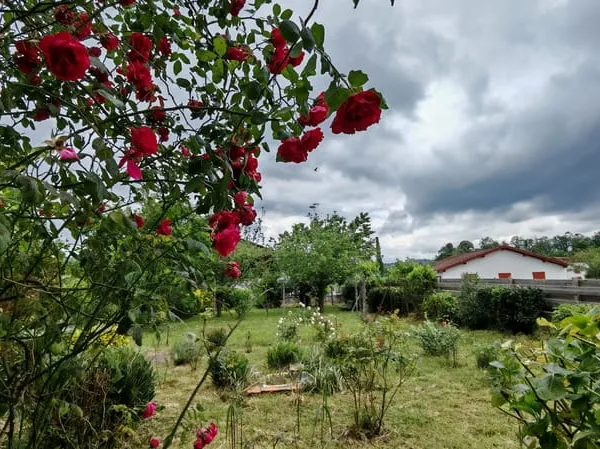 Saint Jean le Vieux - Maison traditionnelle de 220 m2 sur 62
