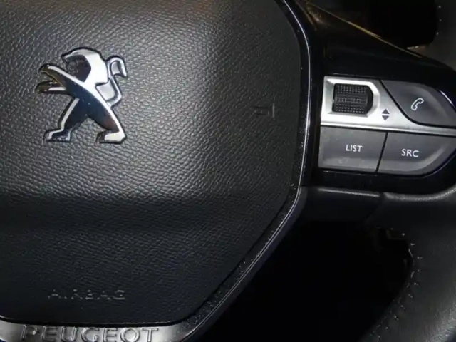Peugeot 2008 e- 136ch roadtrip — photo 14