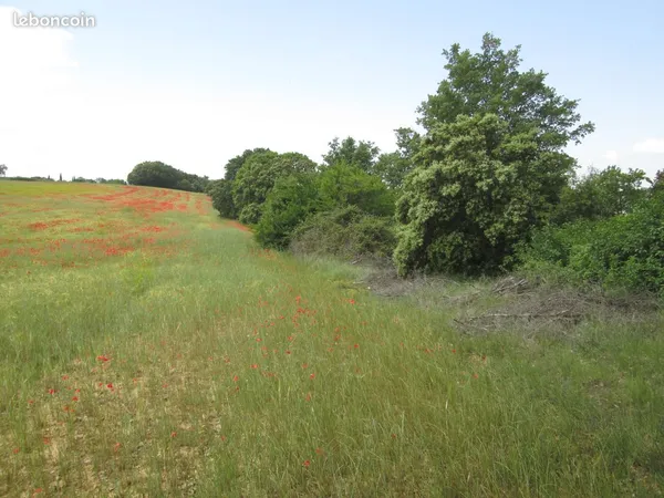 A Vendre terrain agricole