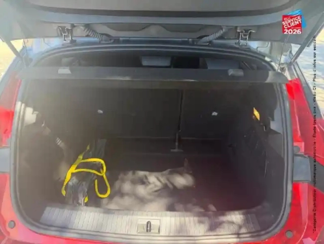 Renault Megane e-tech electric ev60 220ch techno super charge -c — photo 14