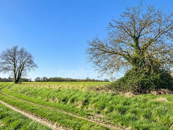 Terrain agricole de 1 720 m² - Cadre rural préservé - Vanzac (17)