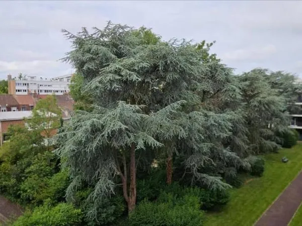 Appartement 6 pièces 187 m²