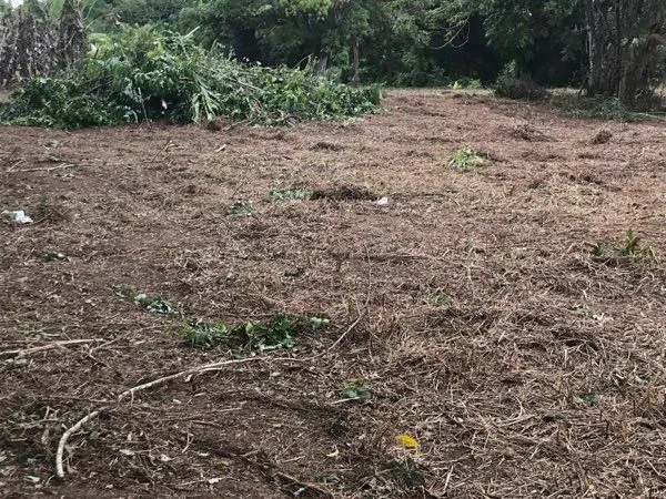 Terrain à louer