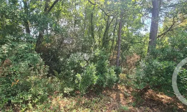 Terrain 1285 m²