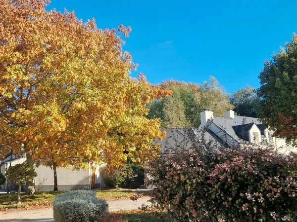 🏡 Coup de coeur à Ploemel - Cottage de 44 m² avec piscine et vue directe sur le golf