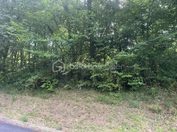 Terrain 1338 m²
