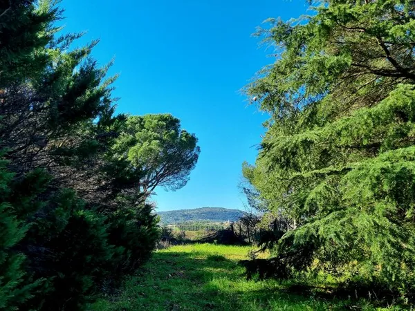 Terrain en lotissement 305 m²