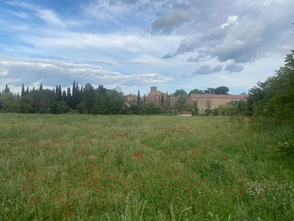 Terrain 338 m²