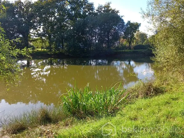 Terrain 3800 m²
