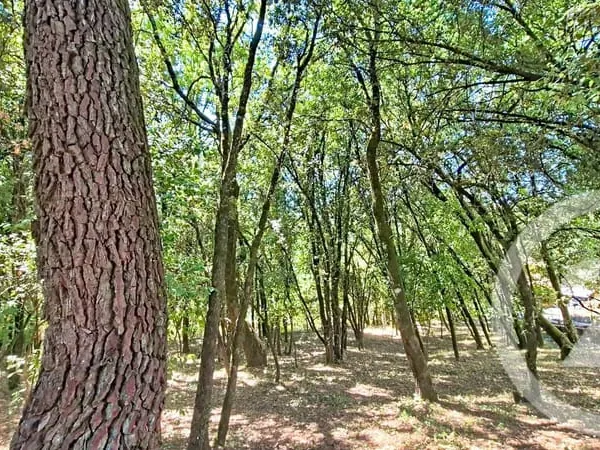 Terrain 799 m²