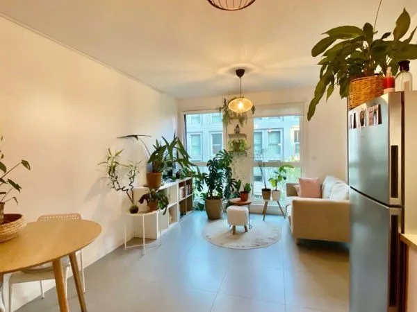 Location T2 meublé Rivetoile Strasbourg 870 euros cc
