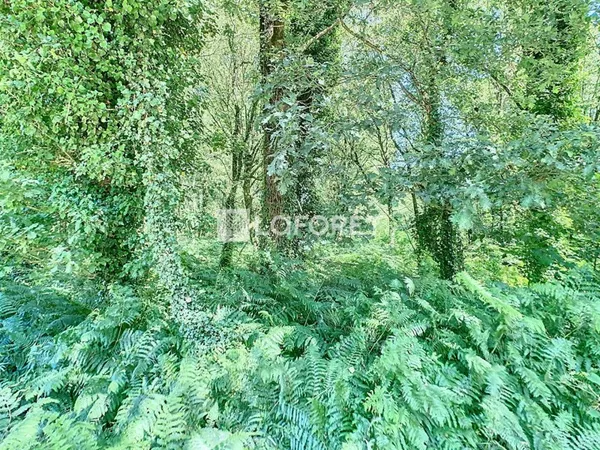 Terrain 2121 m²
