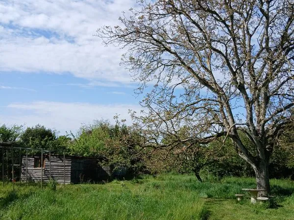 Terrain verger potager