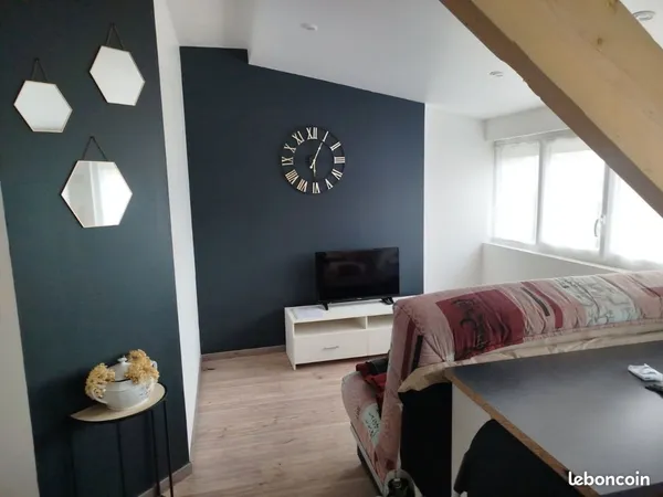 Bel appartement meublé au centre ville