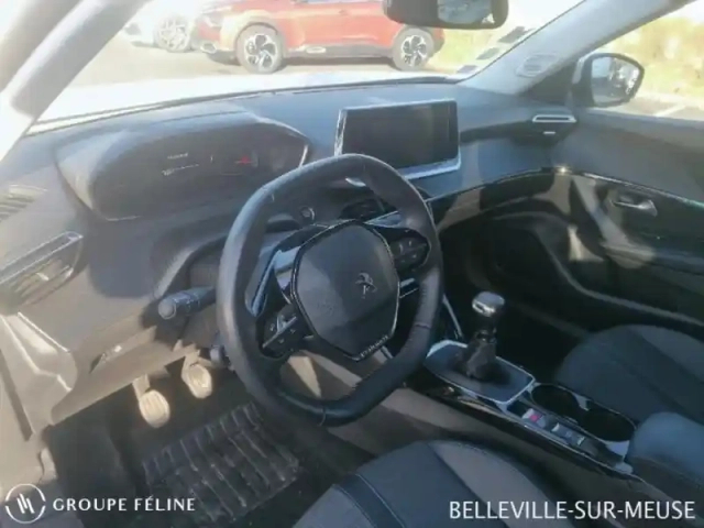 Peugeot 2008 1.5 bluehdi 110ch s&amp;s allure — photo 8