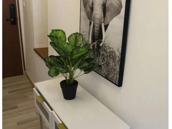 Appartement 2 pièces 28 m²
