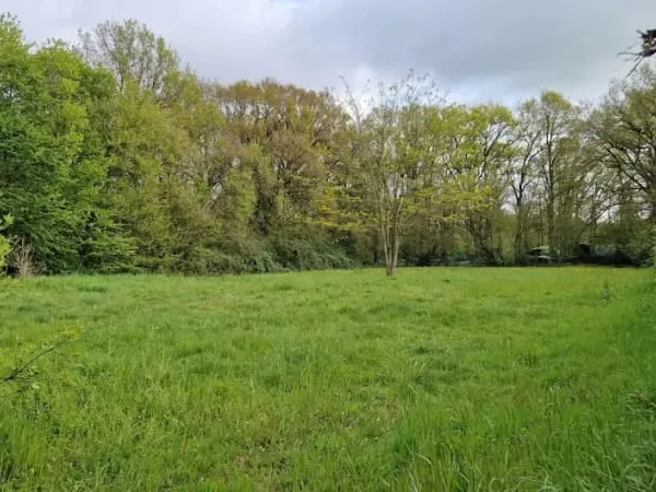 Terrain 1000 m²