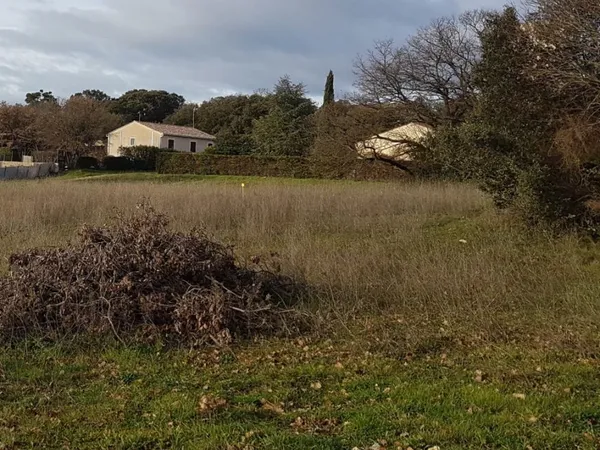 Terrain 350 m²