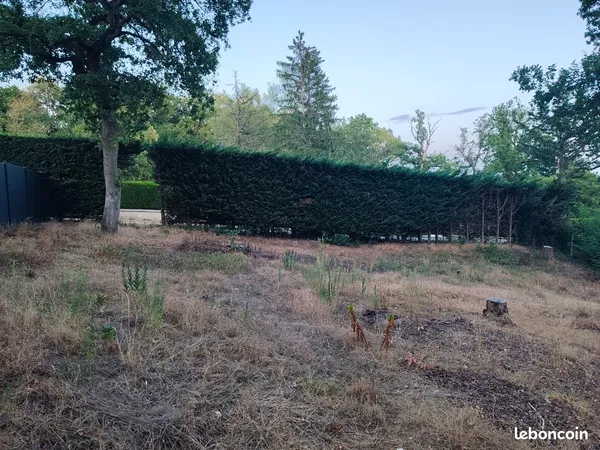 Terrain à vendre 1000 m2