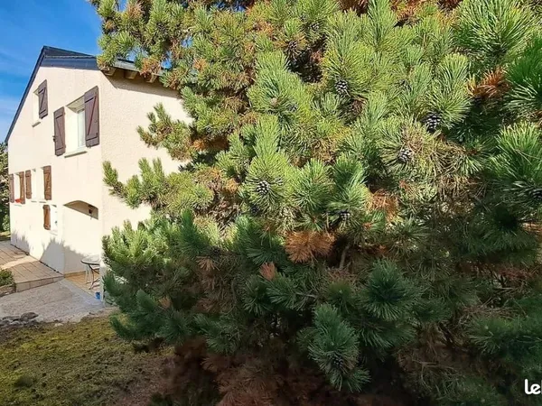 Maison 6 pièces 100 m²