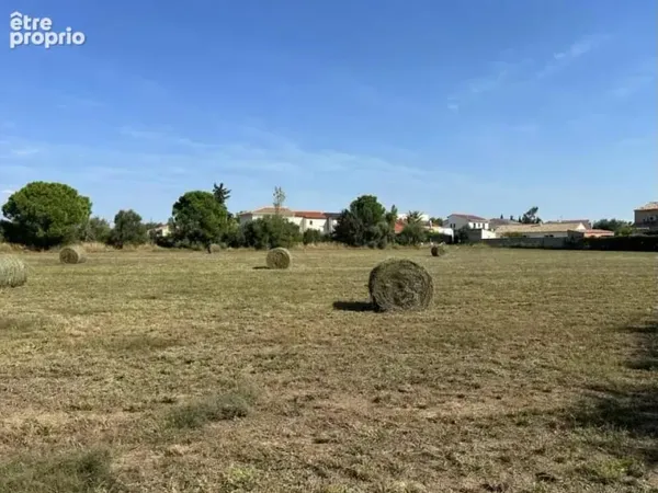 Terrain 590 m²