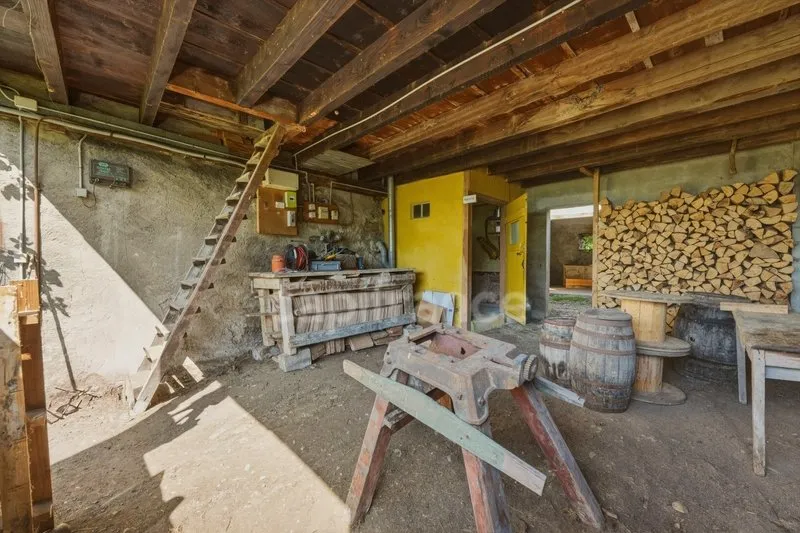 Photo 41