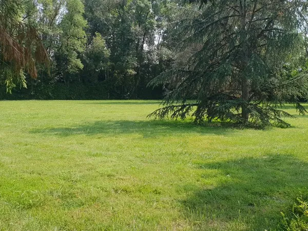 Terrain constructible plat et arboré - 903 m2 - St-Lieux-Lès-Lavaur (Particulier)