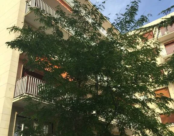 Appartement 2 pièces 51 m²