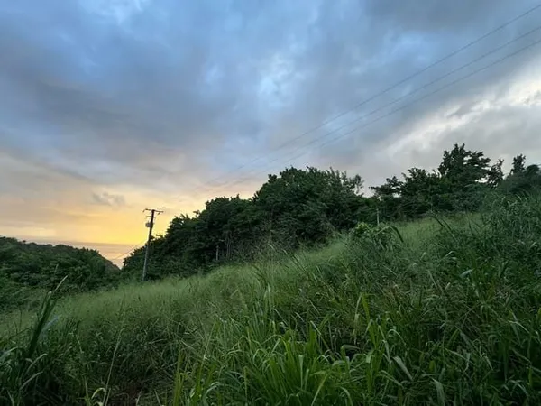 Terrain 1472 m²