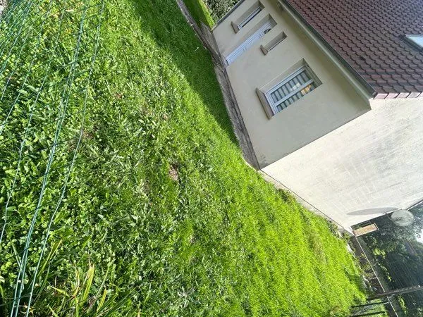 Maison à louer sur Bléquin