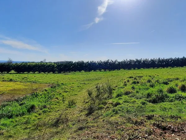 parcelle de terrain avec partie constructible