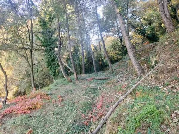 Terrain constructible 1500 m²