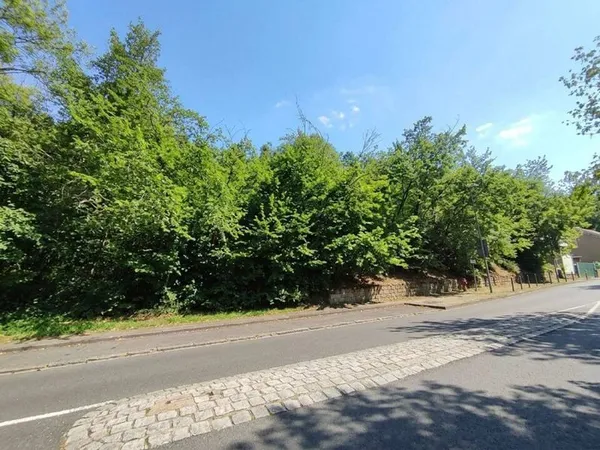 Terrain 620 m²