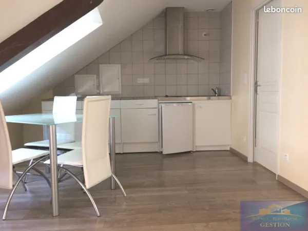 Appartement 1 pièce 20 m²
