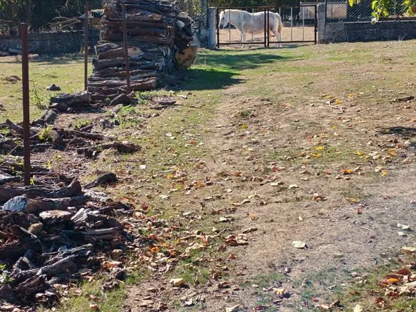 Terrain constructible