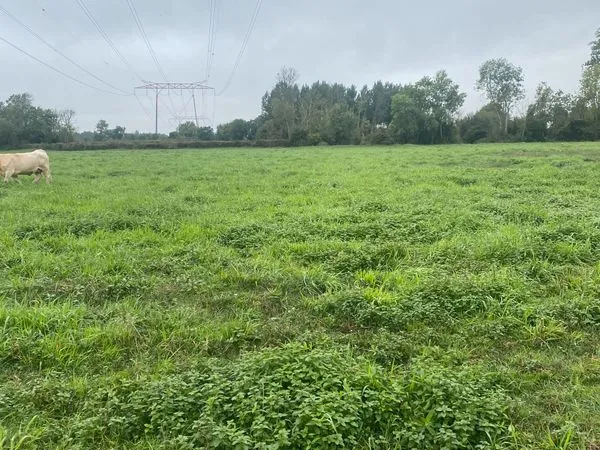 Location de terre agricole