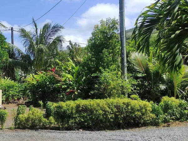 Terrain 494 m²