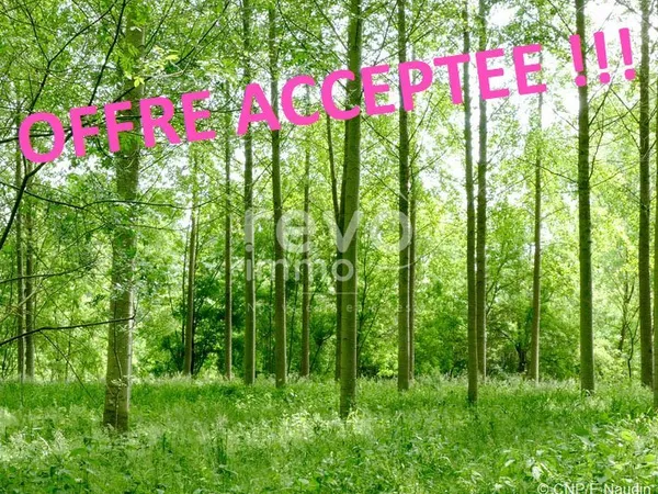 Bois / Forêt  1 hectare VALLET