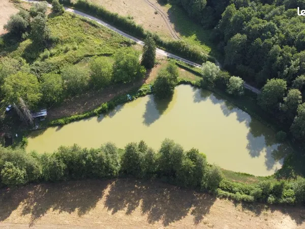 Magnifique Etang De Loisir