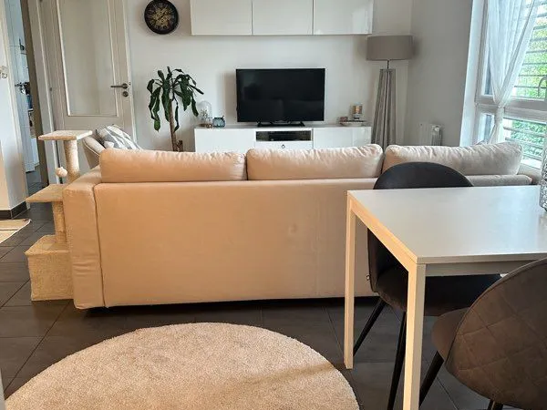 Location T3 meublé Mittelhausbergen