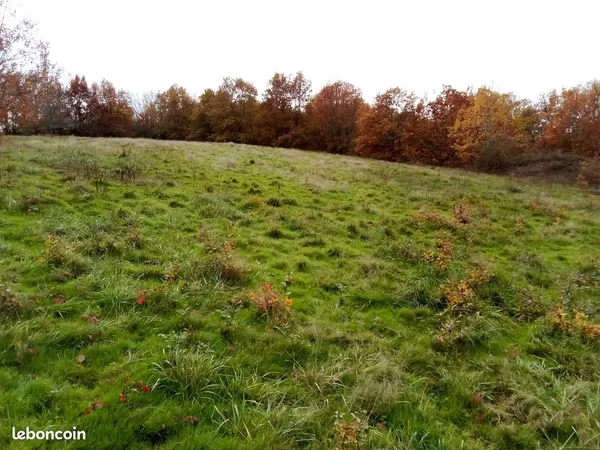 Terrain à bâtir