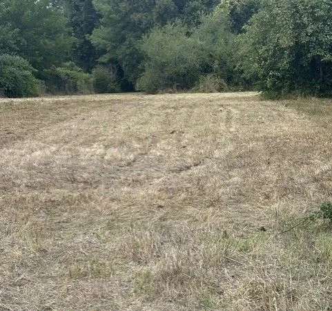 Terrain diffus de 1240 m² présenté par les Demeures d'Aquitaine borné et non viabilisé sur Le Pian M